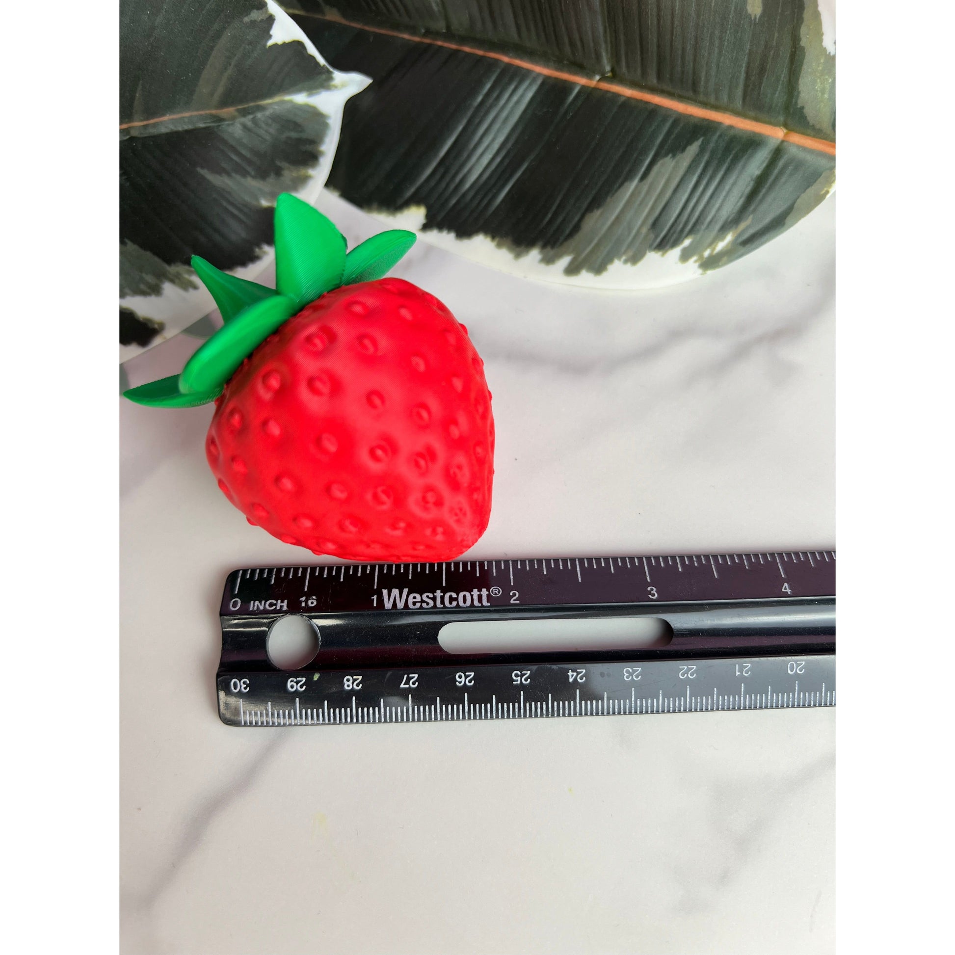 3D Mini - Thinkcutie.com