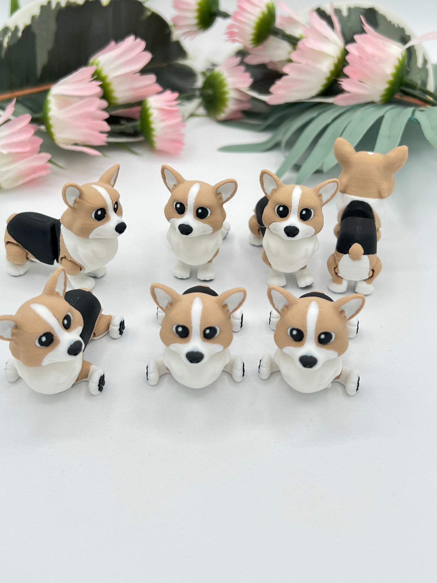 3D Mini - Thinkcutie.com