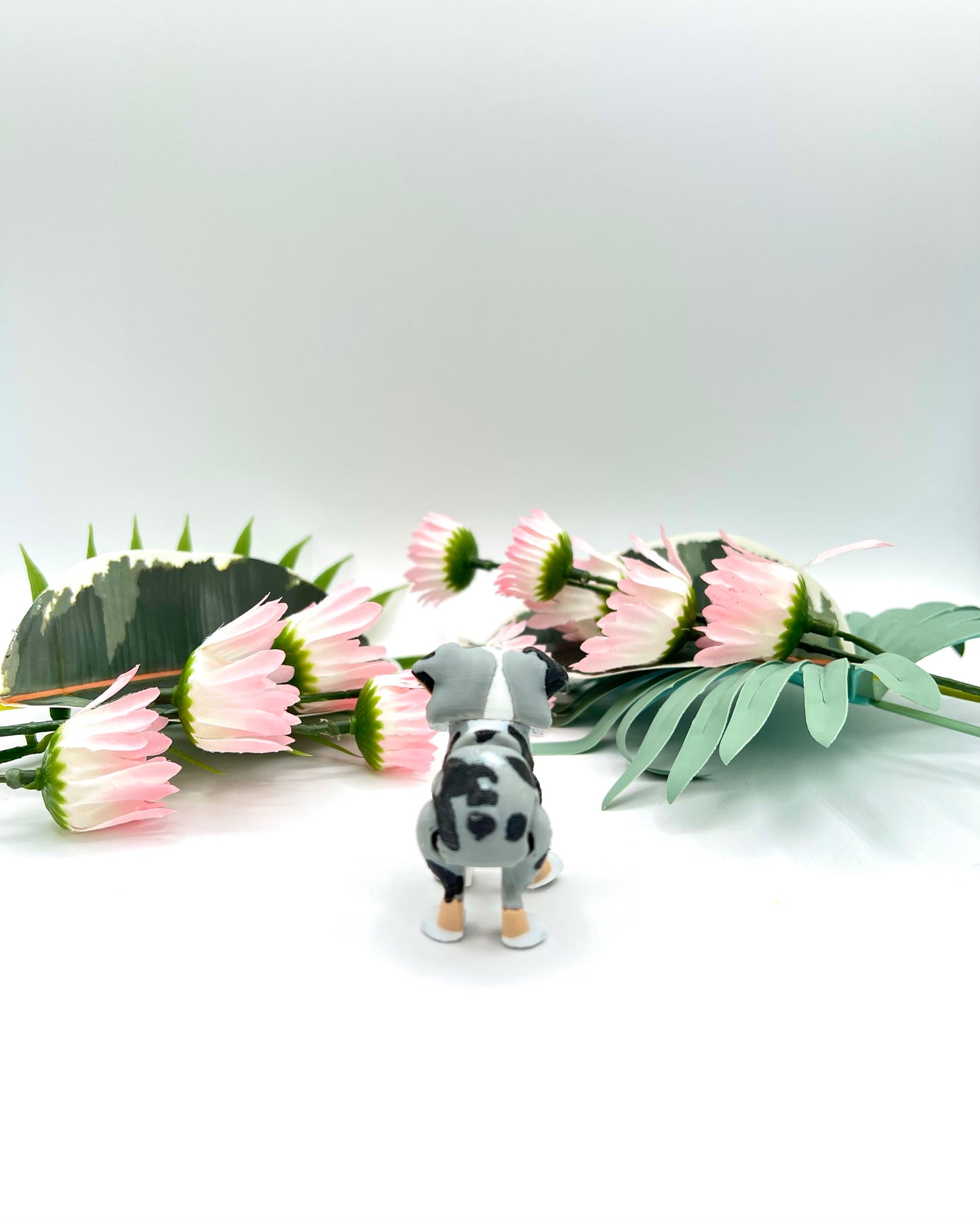 3D Mini Australian Shepherd Dog