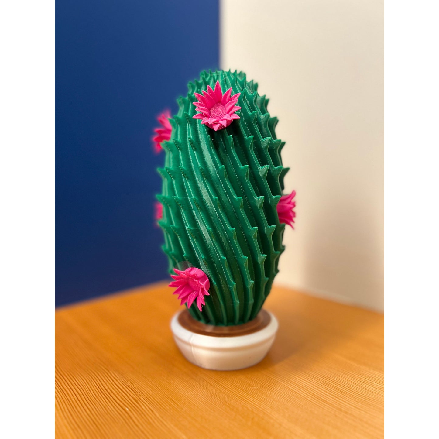 - Thinkcutie.com