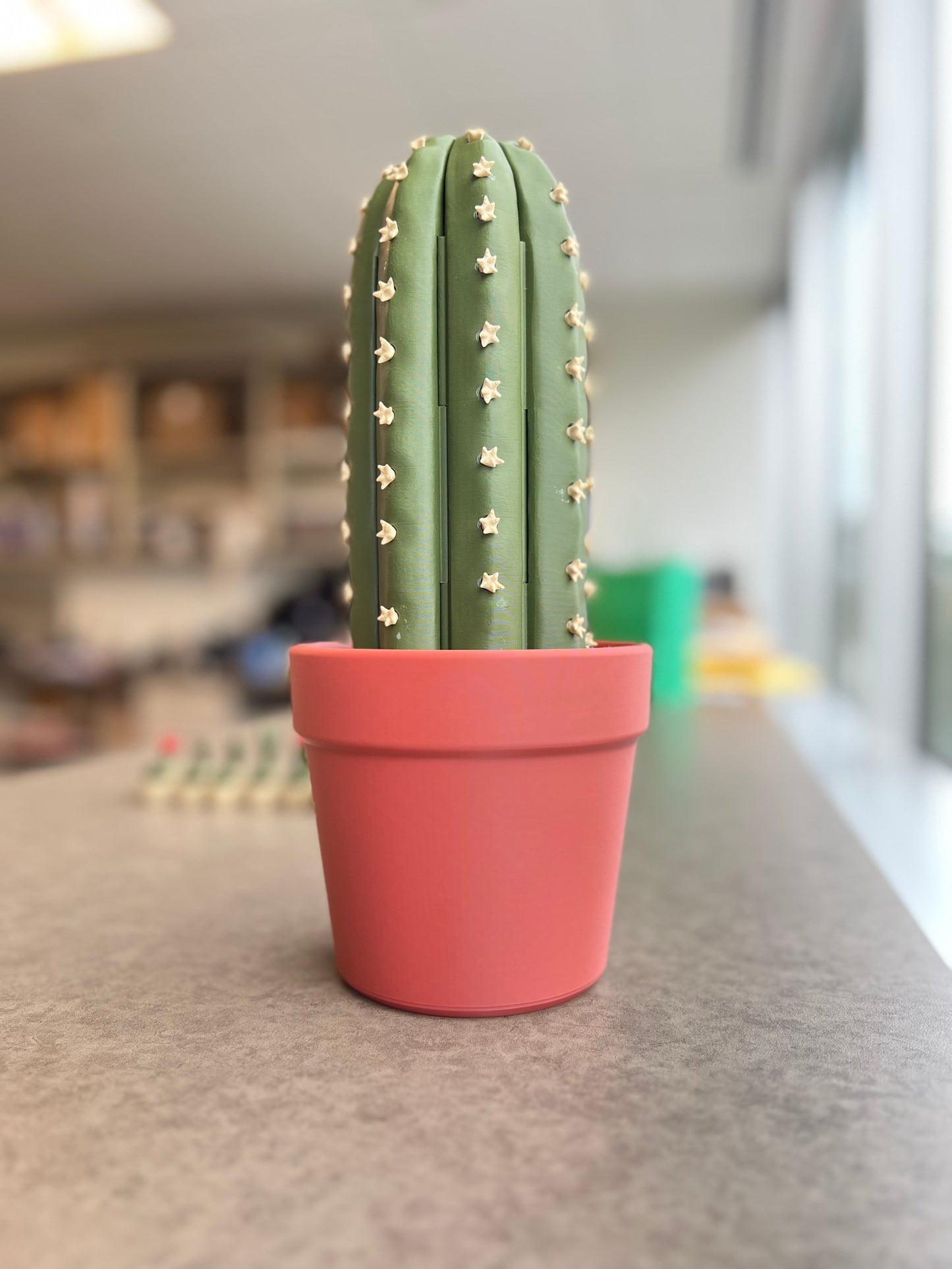 3D Cactus Plant Chess Set (magnetic)