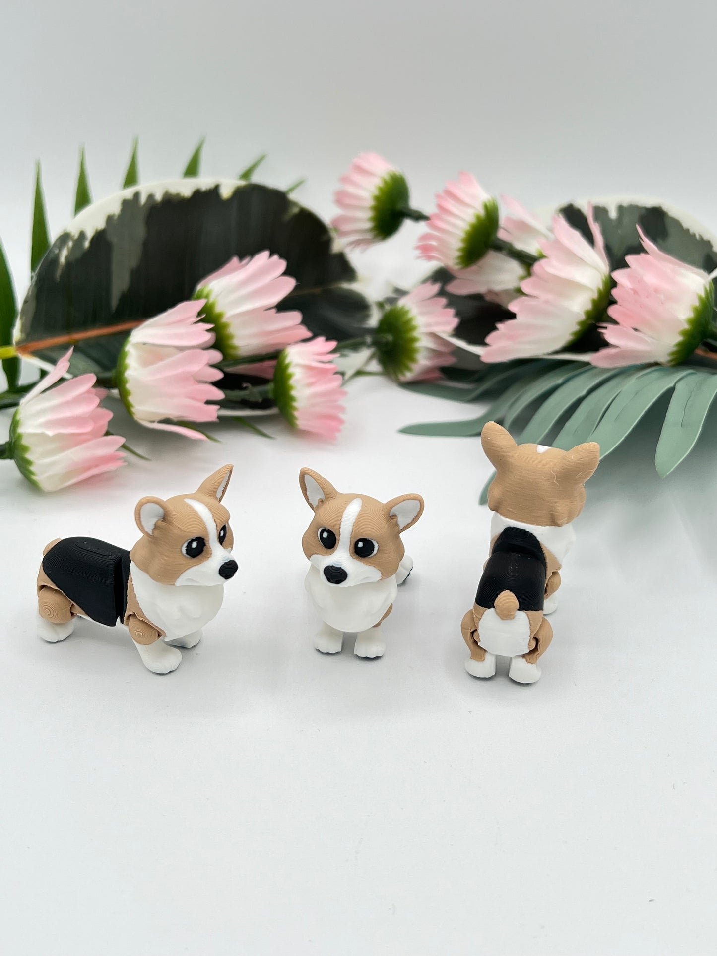 3D Mini - Thinkcutie.com