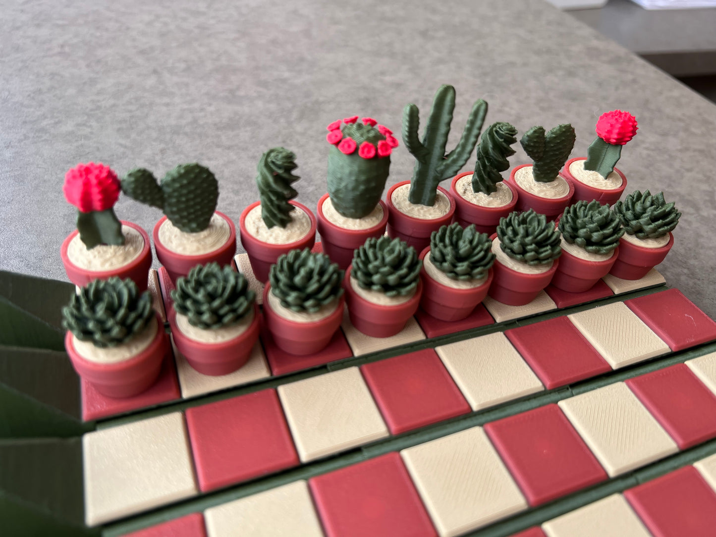 3D Cactus Plant Chess Set (magnetic)