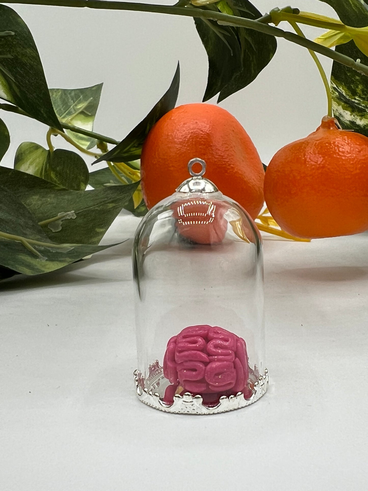 Miniature Handmade Brain in a Jar