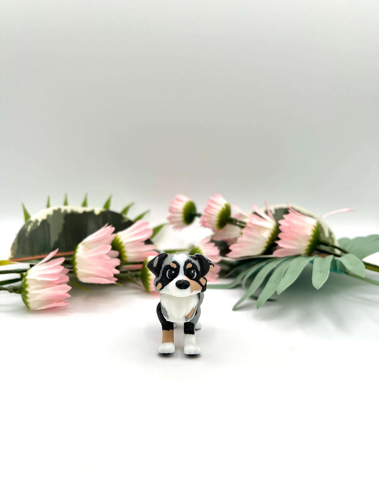 3D Mini Australian Shepherd Dog