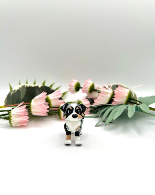 3D Mini Australian Shepherd Dog