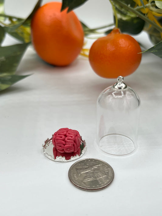 Miniature Handmade Brain in a Jar