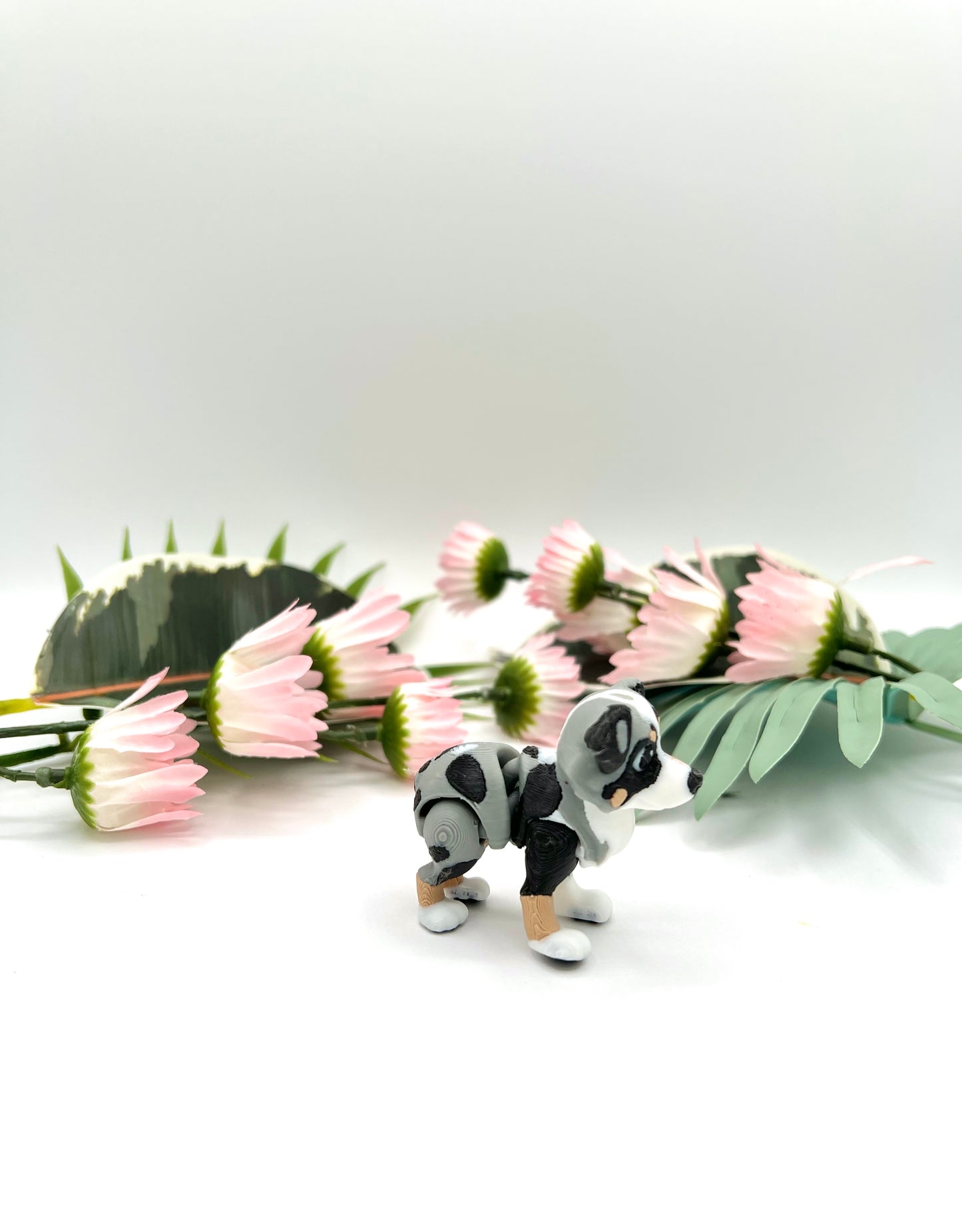 3D Mini Australian Shepherd Dog